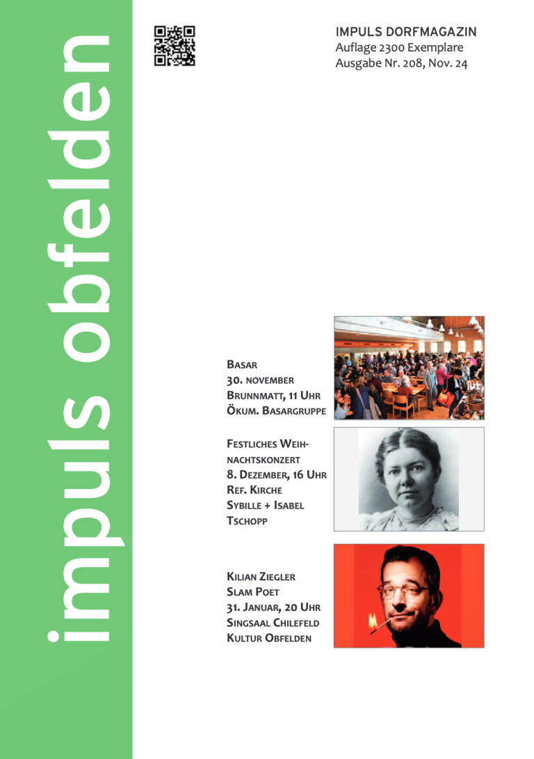 Nr. 208 (November 2024)